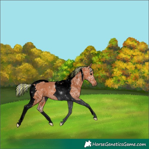 Horse Color:Void Painted Silver Bay Ice Tobiano 