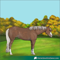 Horse Color:Silver Black 