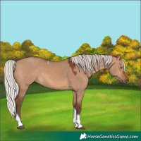 Horse Color:Silver Brown Dun Tobiano 