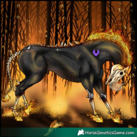 Horse Color:Brown Tobiano 