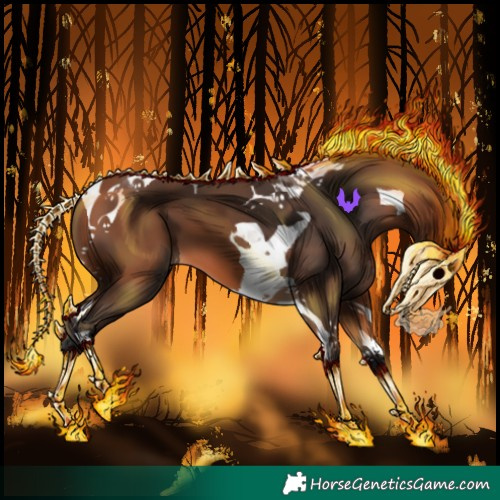 Horse Color:Bay Tobiano 