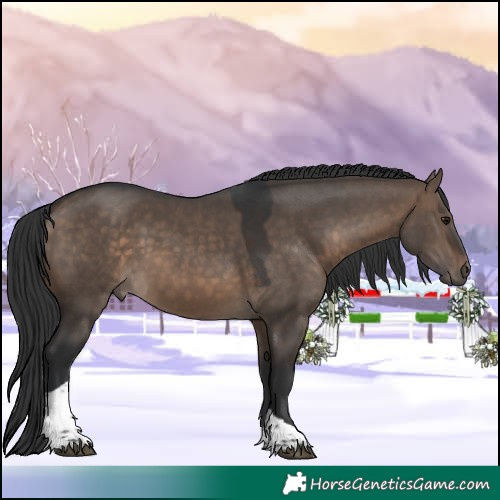 Horse Color:Brown Dun Tobiano 