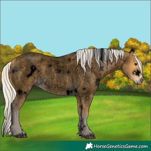 Horse Color:Void White Spotted Silver Buckskin Roan 