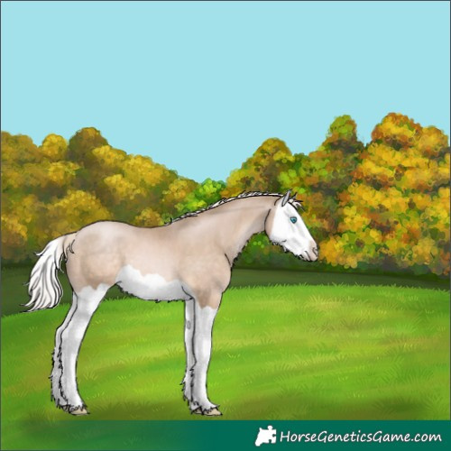 Horse Color:Chocolate Palomino Pearl Splash 