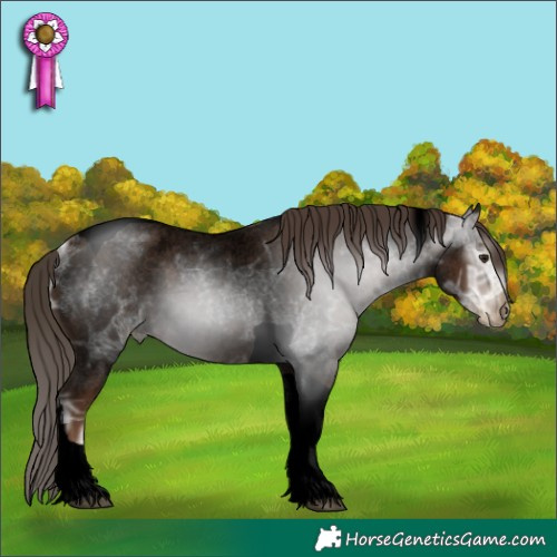 Horse Color:Gray Void Blue Ice Roan Pearl Tobiano 