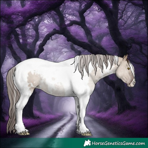 Horse Color:White Spotted Liver Red Dun Tobiano 