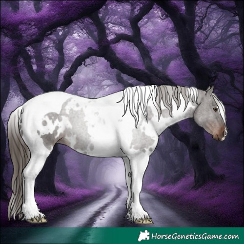 Horse Color:White Spotted Liver Chestnut Tobiano 