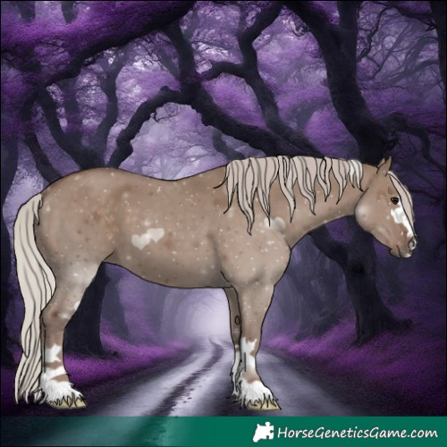 Horse Color:Silver Grullo 
