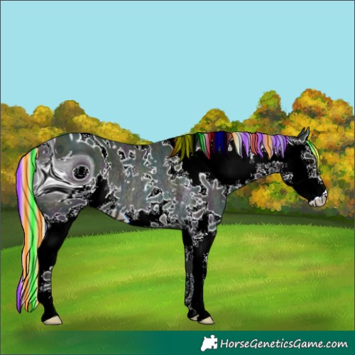 Horse Color:ERROR: UNKNOWN ANOMALY