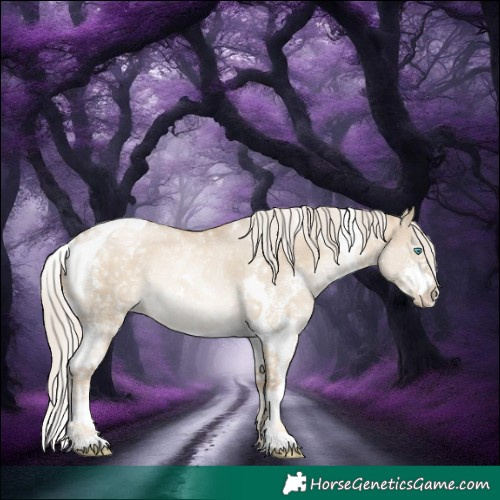 Horse Color:Chocolate Palomino Snowdrop Dun Sabino Tobiano Rabicano 