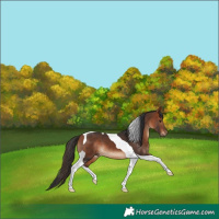 Horse Color:Bay Tobiano 