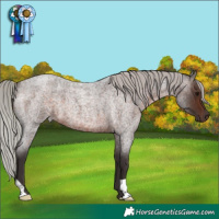 Horse Color:Silver Brown Roan 