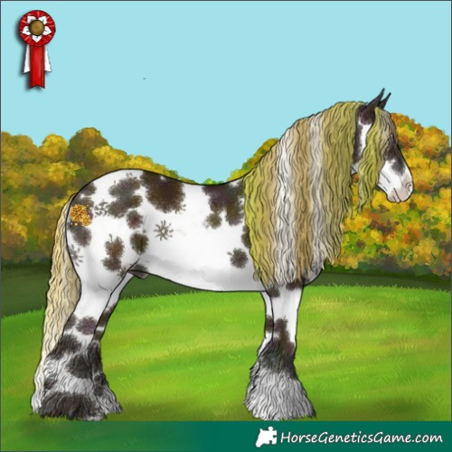 Horse Color:Midnight Gold Champagne Ice Sabino 