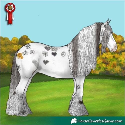 Horse Color:Midnight Liver Chestnut Sabino Appaloosa 