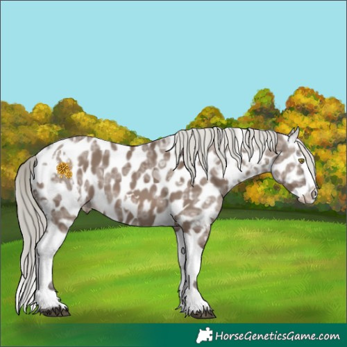 Horse Color:White Spotted Liver Red Dun Ice Mushroom Splash Tobiano Appaloosa 