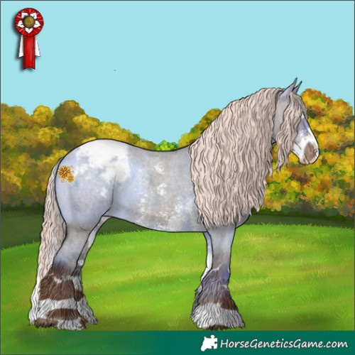 Horse Color:Liver Red Dun Roan Mushroom Sabino Splash Appaloosa 