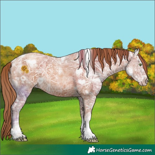 Horse Color:Gold Champagne Ice Tobiano 