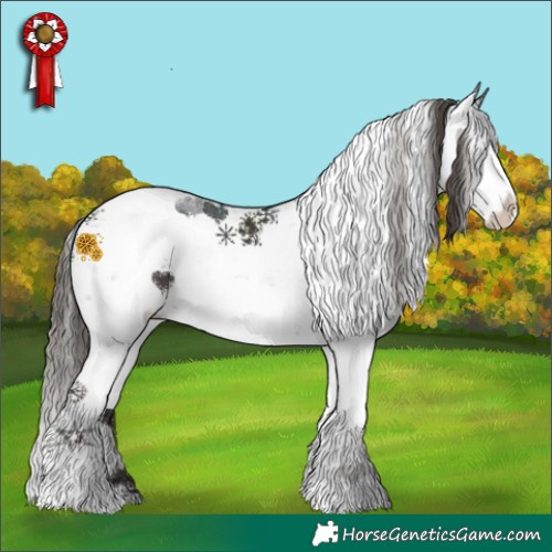 Horse Color:Midnight Liver Chestnut Sabino Splash 