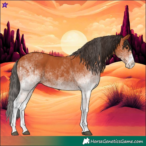 Horse Color:White Spotted Bay Splash  and White Spotted Bay Splash 