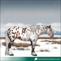 Horse Color:White Spotted Silver Brown Tobiano Appaloosa 