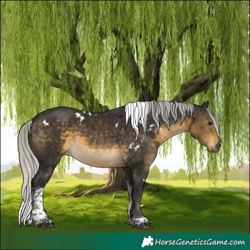 Horse Color:White Spotted Silver Buckskin Tobiano