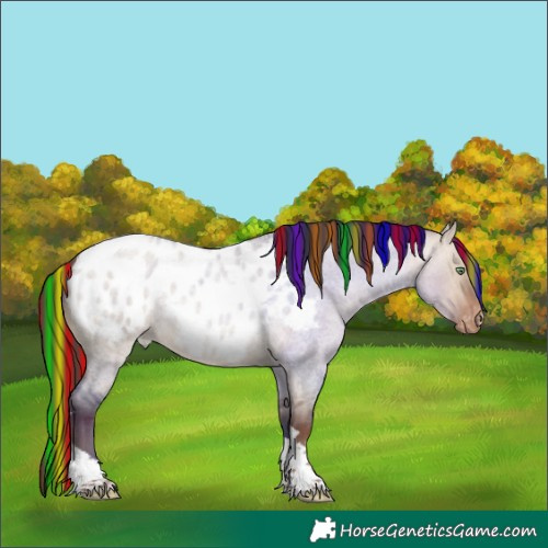 Horse Color:Painted Sable Champagne Roan Dun Tobiano Near Leopard 