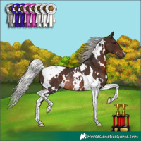 Horse Color:White Spotted Silver Brown Tobiano Rabicano