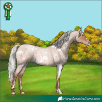 Horse Color:White Spotted Silver Sable Champagne Roan Rabicano 