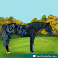 Horse Color:ERROR: UNKNOWN ANOMALY