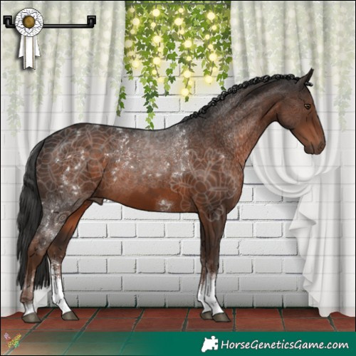 Horse Color:Liver Chestnut Sabino Tobiano 