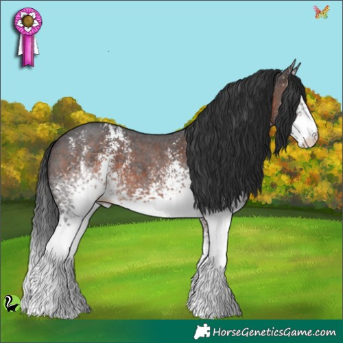 Horse Color:White Spotted Brown Sabino 