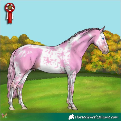 Horse Color:Watercolor Liver Chestnut Splash Tobiano 