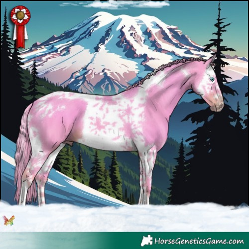 Horse Color:Watercolor Liver Chestnut Splash Tobiano 