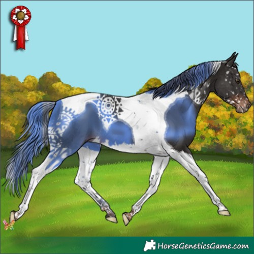 Horse Color:Liver Chestnut Splash Tobiano 