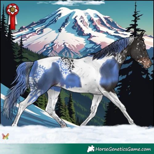 Horse Color:Liver Chestnut Splash Tobiano 