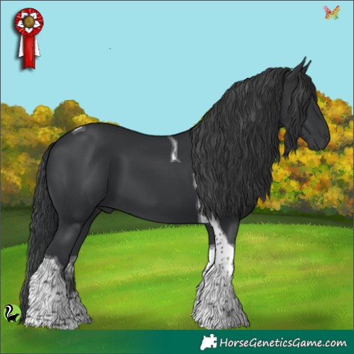 Horse Color:Black Tobiano 