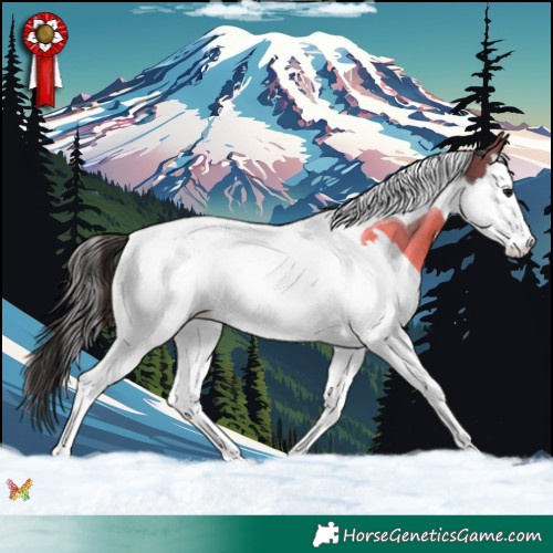 Horse Color:Bay Splash Tobiano 