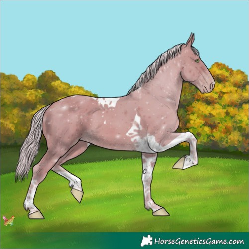 Horse Color:Watercolor Gold Cream Champagne Tobiano 