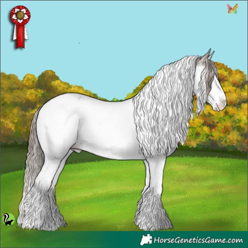 Horse Color:Liver Red Dun Sabino Splash Tobiano Appaloosa 