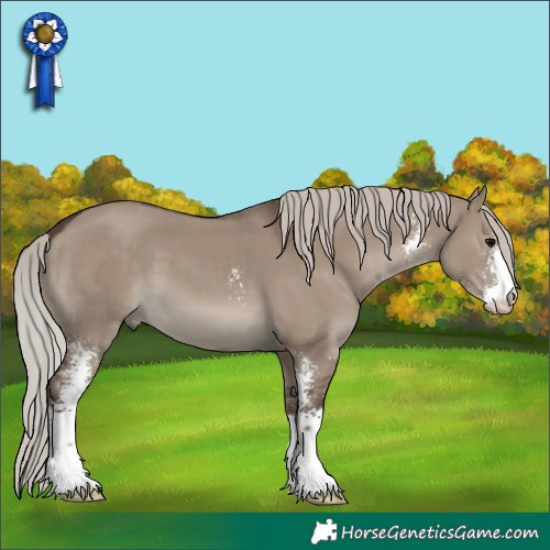 Horse Color:Silver Grullo Sabino 