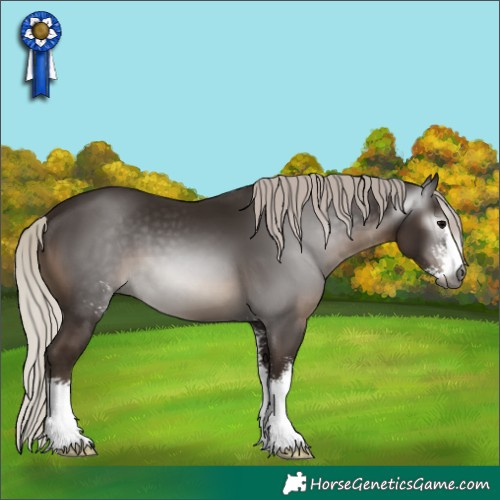Horse Color:Gray Silver Black Sabino 