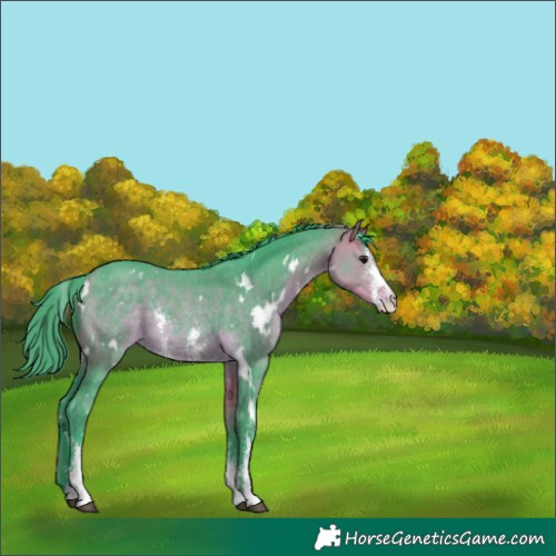 Horse Color:Watercolor White Spotted Buckskin Sabino 