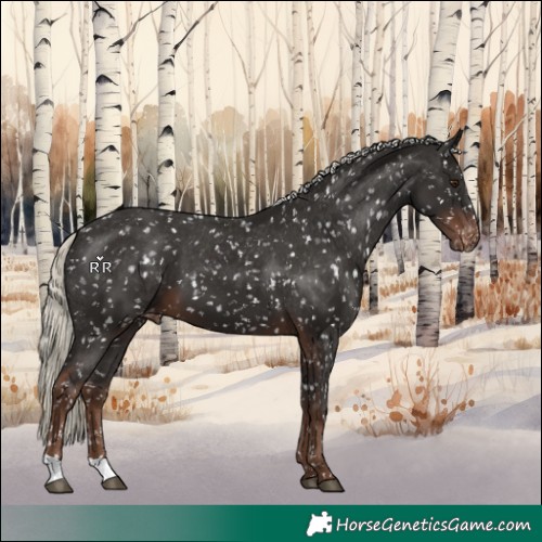 Horse Color:Liver Chestnut Mushroom Snowflake Varnish