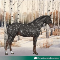 Horse Color:Liver Chestnut Mushroom Snowflake Varnish