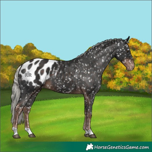 Horse Color:Liver Chestnut Mushroom Blanket