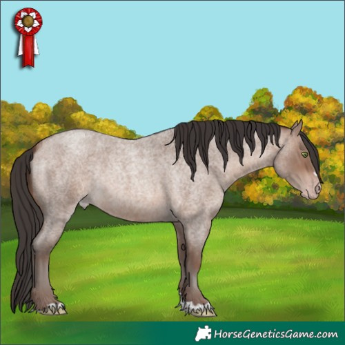 Horse Color:Sable Champagne Roan Rabicano 
