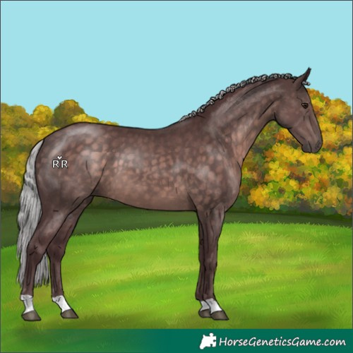 Horse Color:Platinum Chocolate Silver Brown 