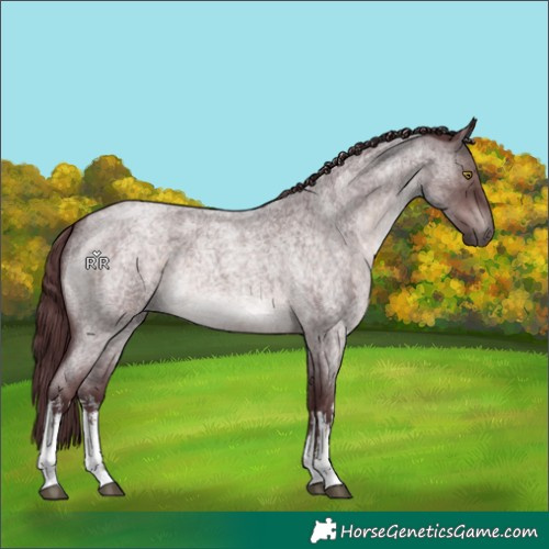 Horse Color:Platinum White Spotted Chocolate Brown Roan