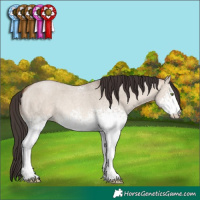 Horse Color:White Spotted Sable Champagne Roan Dun Rabicano