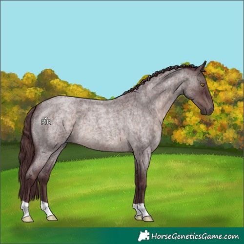 Horse Color:Platinum Chocolate Brown Roan 